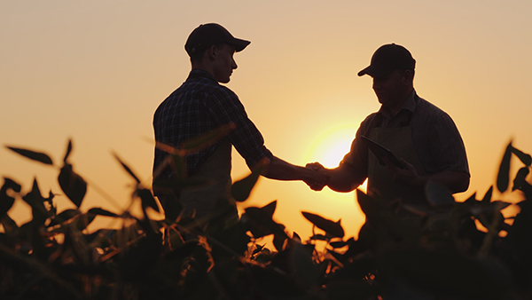 THE BENEFITS OF PLANNING AHEAD 1 Estate Planning600