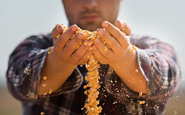 Farmer with Corn