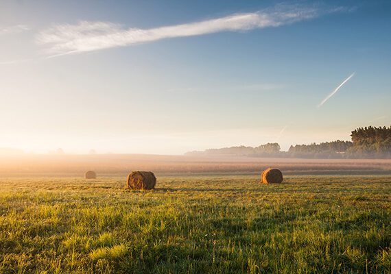 FINANCING FARMLAND 2 Buying a farm 600