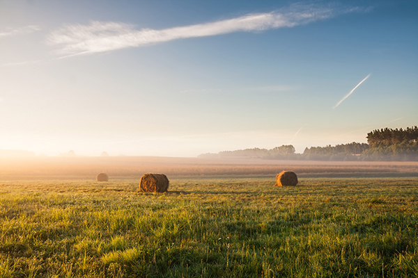 FINANCING FARMLAND 1 Buying a farm 600