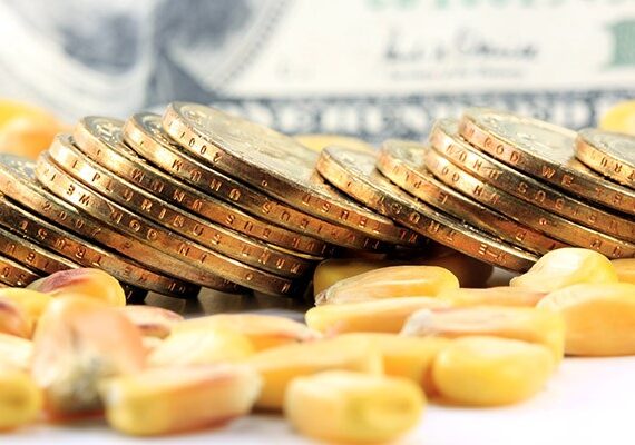 Corn money