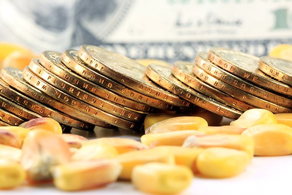 Is it a Good Idea to Use More Than One Ag Lender? 1 Corn money