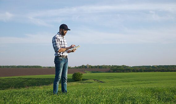 Farmer Field Ipad