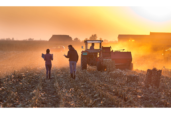 Include Farm Loan Education in Your Succession Planning 1