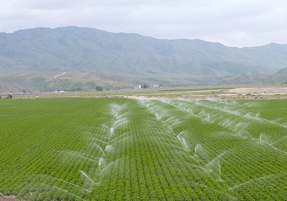 SGMA through the Lens of an Agricultural Lender 2 Large field in California