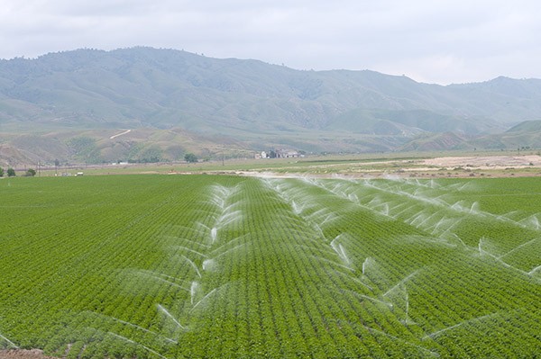SGMA through the Lens of an Agricultural Lender 1 Large field in California