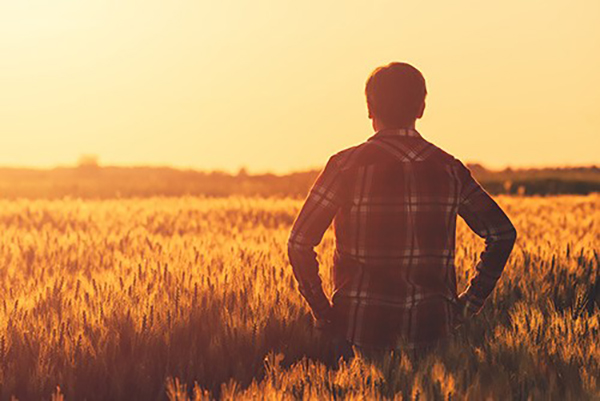 Tips to Improving Your Long-Term Financing Position 1 Man in a wheat field600 1