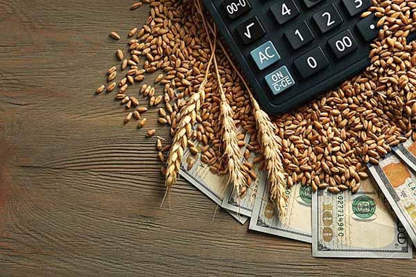 TIME TO REFINANCE YOUR AG LOANS? 1 Money grain calculator