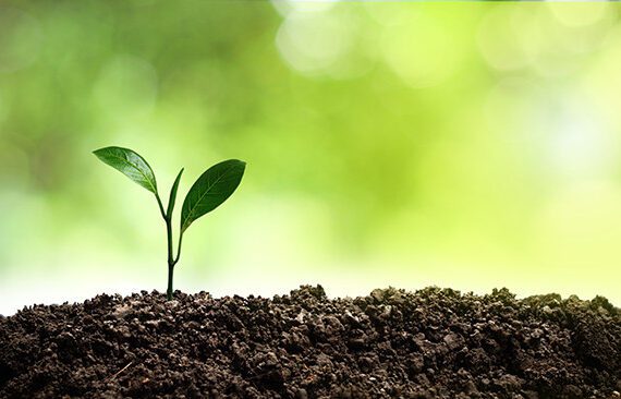 Sustainable Ag 101: 4Rs Protect the Earth and Farmers’ Budgets 2 NutrientManagement 600x366 1