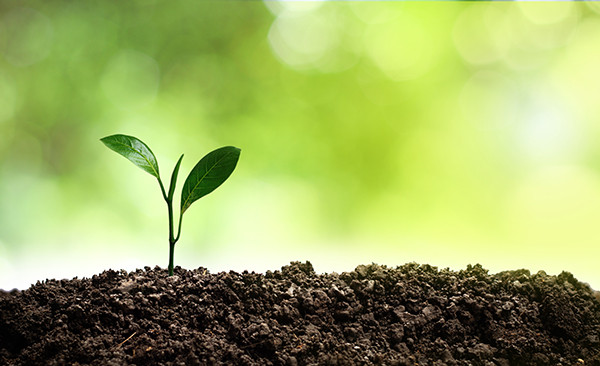 Sustainable Ag 101: 4Rs Protect the Earth and Farmers’ Budgets 1