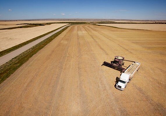SUSTAINING THE AG SUPPLY CHAIN THROUGH CRISIS 3 Supply Chain 2