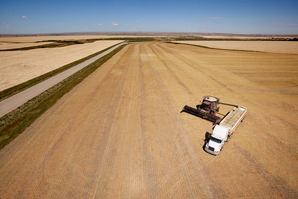 SUSTAINING THE AG SUPPLY CHAIN THROUGH CRISIS 1 Supply Chain 2