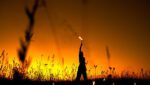 Passing the Torch – Don’t Get Burned 7 passing the torch600