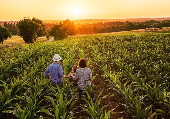 NAVIGATING HIGH FARMLAND MARKET 5 shutterstock 684006229