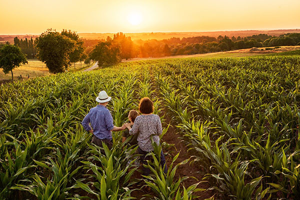 NAVIGATING HIGH FARMLAND MARKET 1 shutterstock 684006229
