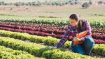 These 7 Sustainable Ag Trends Could Future-Proof Your Farm 3 sustainable farming