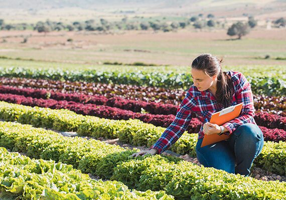 These 7 Sustainable Ag Trends Could Future-Proof Your Farm 2 sustainable farming