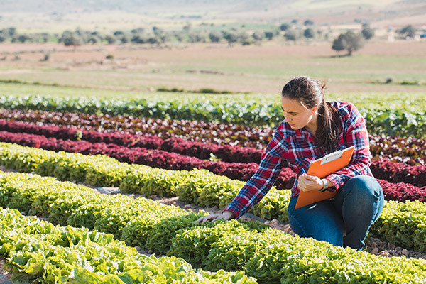 These 7 Sustainable Ag Trends Could Future-Proof Your Farm 1 sustainable farming