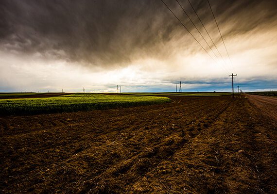 5 WAYS TO PLAN AHEAD FOR FARM ECONOMY DOWNTURNS 9 Planning Downturn600x400