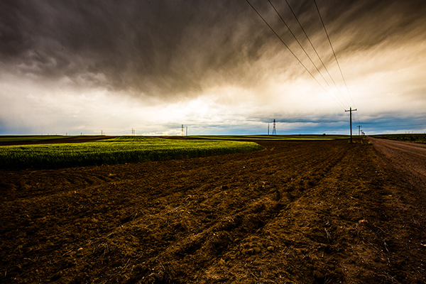 5 WAYS TO PLAN AHEAD FOR FARM ECONOMY DOWNTURNS 1
