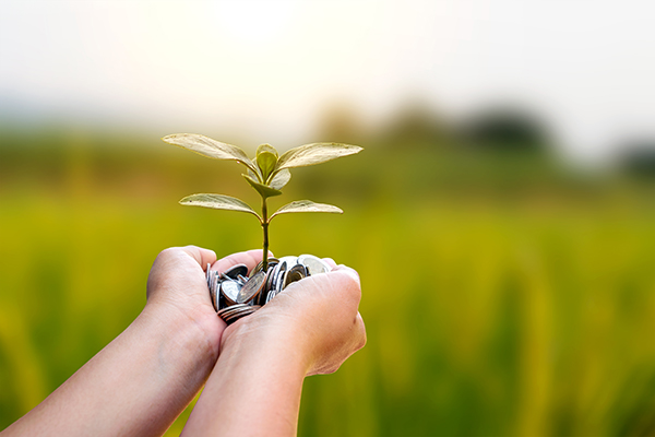 HOW TO SPOT A PROFIT OPPORTUNITY AND WHEN TO MAKE THE JUMP 1 Maximizing Financial Statements