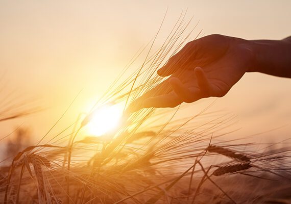 THE SINGLE BIGGEST RISK IN AGRICULTURE 3 RiskManagement 600x400
