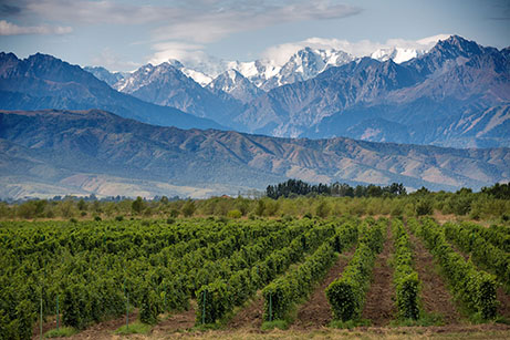 orchard mountains small