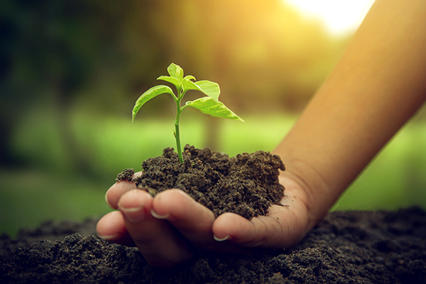WHY THIS AG LENDER SUPPORTS ON-FARM CONSERVATION PRACTICES (AND WHY MORE SHOULD) 1