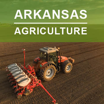Arkansas Agriculture2