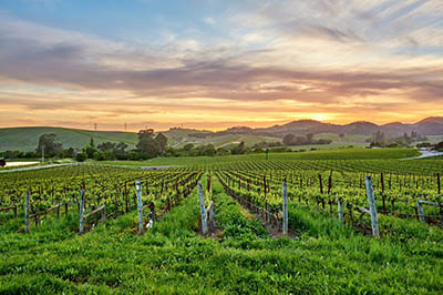 California land sunset