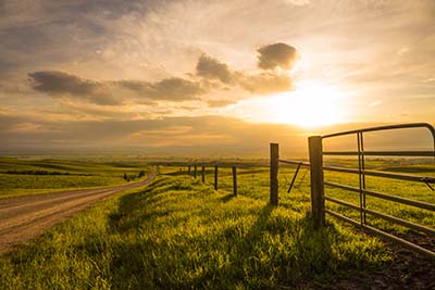 Picket fence on land