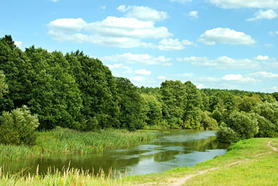 landscape on summer day
