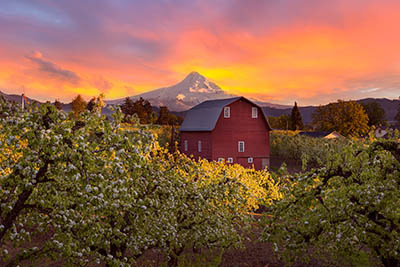 red barn in oregon