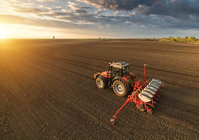 tractor plowing at dawn