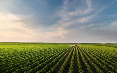 tractor spraying soybean field