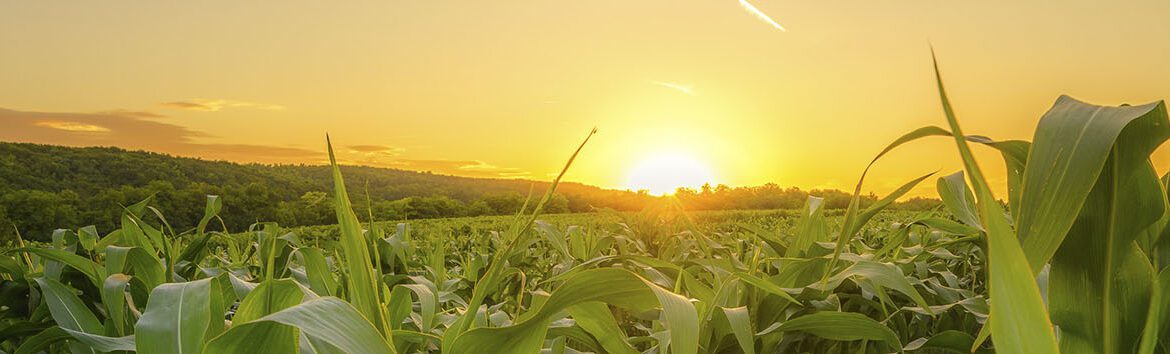 FARMERS WITH GOOD CREDIT BENEFIT FROM NEW ACCELERATED LOAN PROGRAM 1 Premier wide