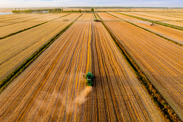 FILLING THE GAP: CHANGING THE LANDSCAPE OF FARM LOANS 1 Pauls Blog Image