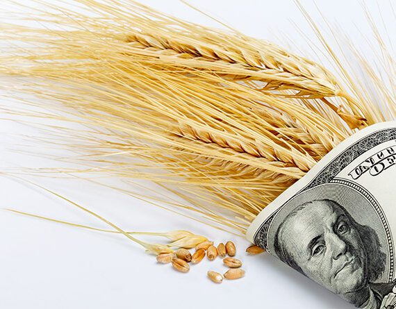 Navigating Farm Loans: Understanding Traditional vs. Alternative Financing 3 Alternative Lending