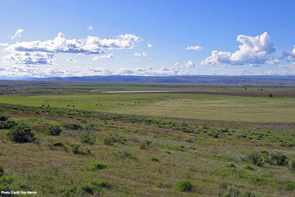 WHAT LAND BROKERS NEED IN AN AG LENDER 1 IMG 4574a copy 2