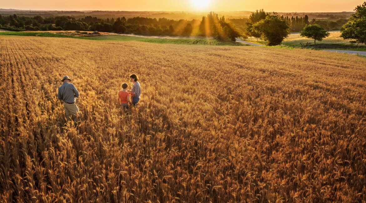 AG LENDING: THE 3 BENEFITS OF FLEXIBLE FARM LOANS 1 Flexible Farm Loans