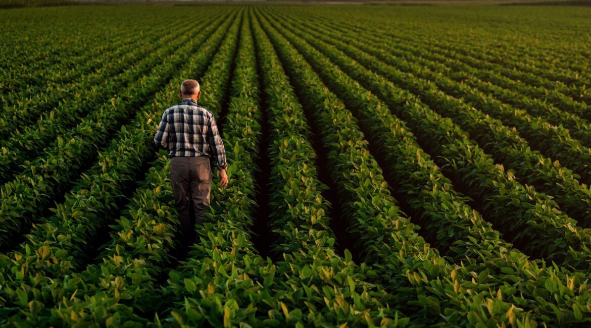 AG FINANCING EXPLAINED: TRADITIONAL VS ALTERNATIVE FARM LOANS 1 Ag Financing Traditional vs Alternative Farm Loans