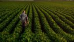 AG FINANCING EXPLAINED: TRADITIONAL VS ALTERNATIVE FARM LOANS 5 Ag Financing Traditional vs Alternative Farm Loans