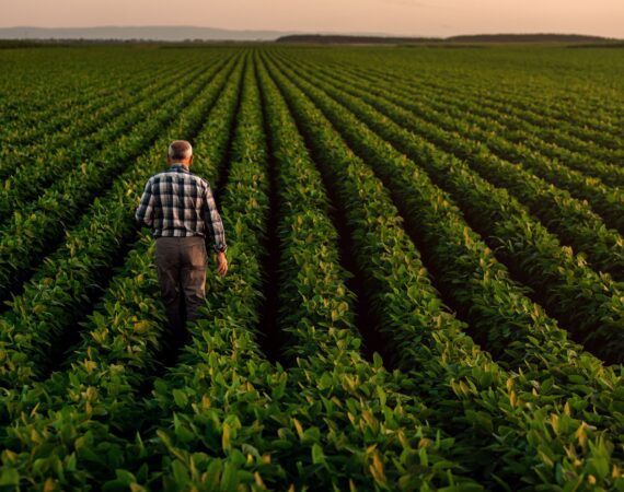 AG FINANCING EXPLAINED: TRADITIONAL VS ALTERNATIVE FARM LOANS 8 Ag Financing Traditional vs Alternative Farm Loans