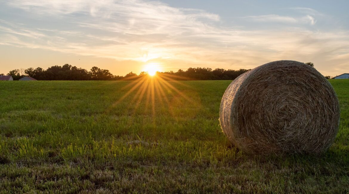 DOES YOUR AG LENDER HAVE REGIONAL KNOWLEDGE? 1 Ag Lender with Regional Knowledge