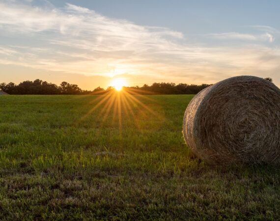 DOES YOUR AG LENDER HAVE REGIONAL KNOWLEDGE? 6 Ag Lender with Regional Knowledge
