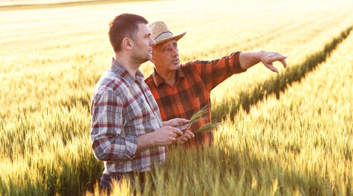 WHAT'S THE DIFFERENCE BETWEEN PRIVATE AG LENDERS AND TRADITIONAL BANKS? 1 Private Ag Lender