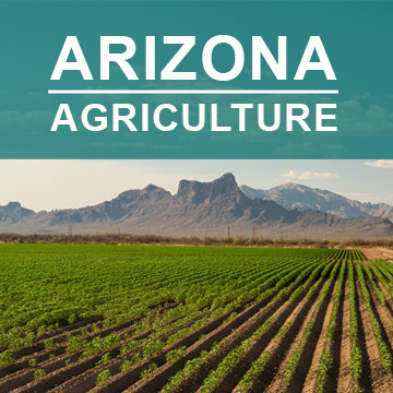 Arizonia Agriculture2