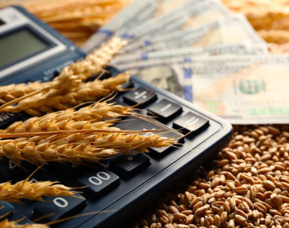 Farm Loan Application