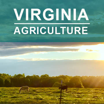 Virginia Agriculture2