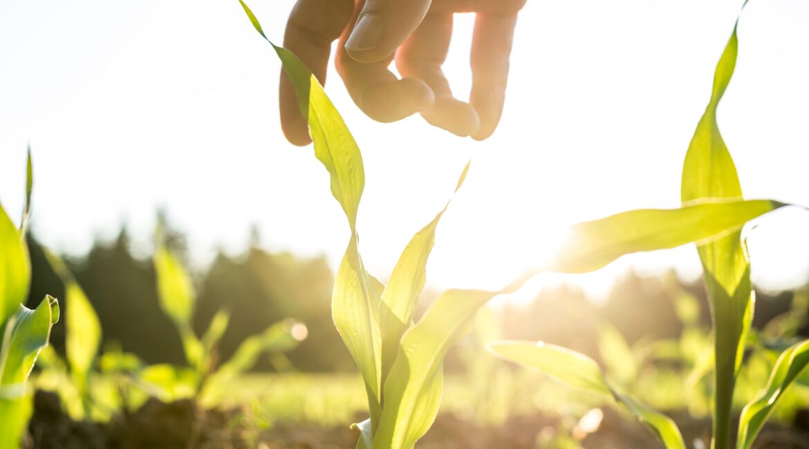 7 KEY QUESTIONS TO ASK A POTENTIAL AG LENDER 1 Ag Lender Farm Loans